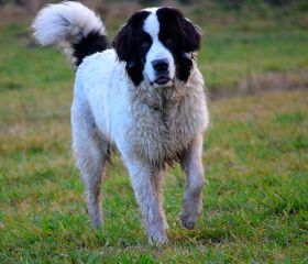 DSC_0116.jpg