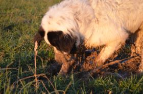 DSC_0256.jpg