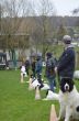 DSC_0113.jpg