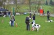 DSC_0114.jpg