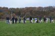 DSC_0158.jpg